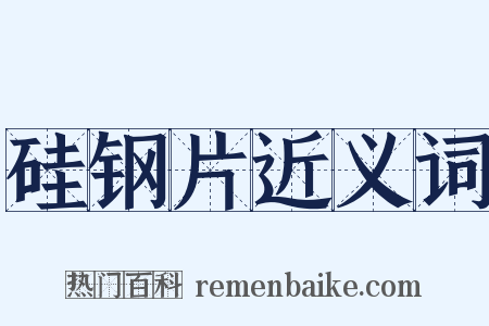 硅钢片近义词是什么意思的图片